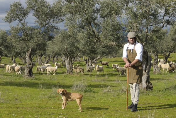 Carlos García-Adámez