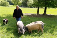 José Ignacio Jauregui